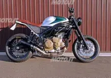 Le Strane di Moto.it: Triumph Daytona 955i Naked