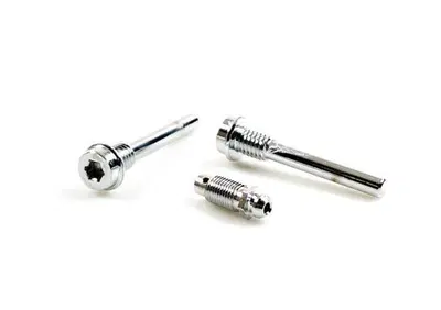 Viti e spurgo cromati pinza freno posteriore per F  - Annuncio 9160506