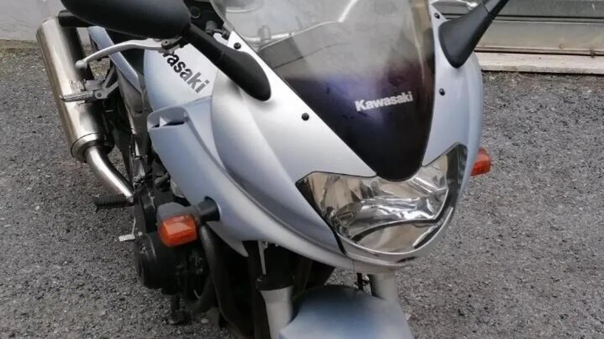 Kawasaki ZR-7 (2001 - 04)  (3)