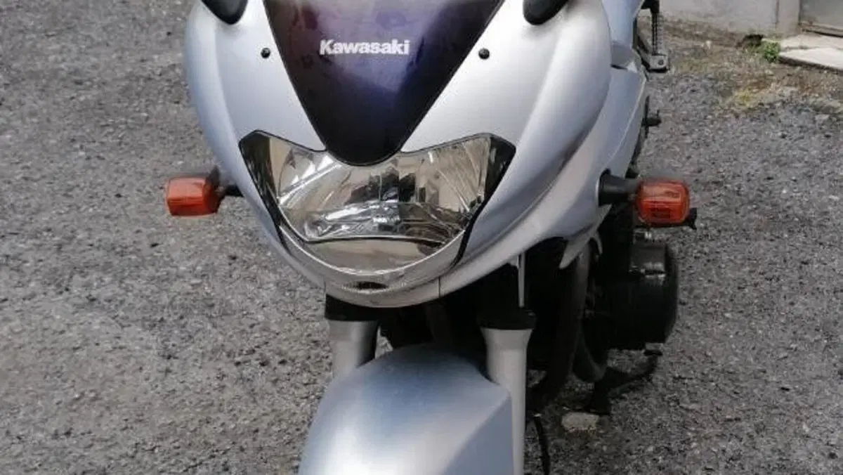 Kawasaki ZR-7 (2001 - 04)  (6)