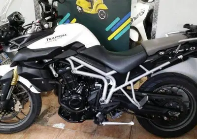 Triumph Tiger 800 (2010 - 14) - Annuncio 9166841