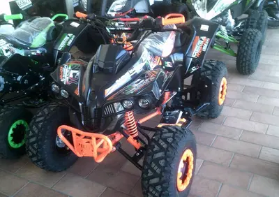  Altre moto o tipologie Quad - Annuncio 9168309