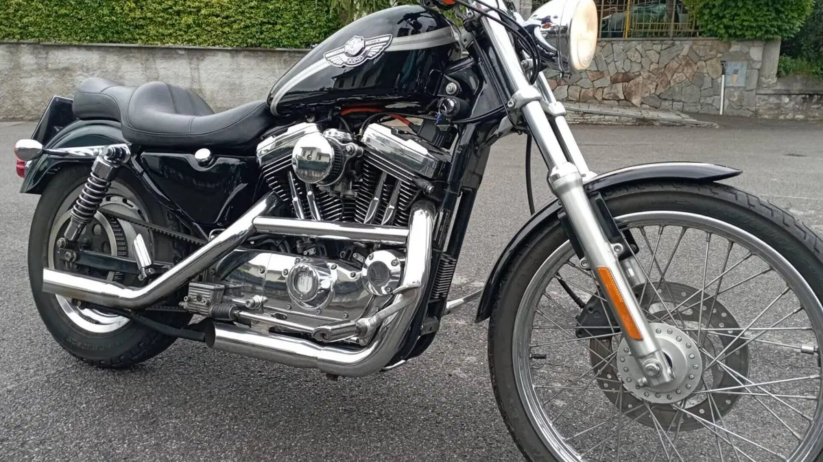 Harley-Davidson 1200 Custom (2001 - 03) - XL 1200C 