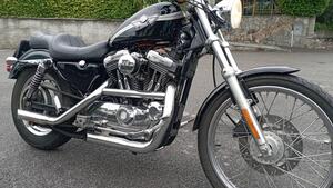 Harley-Davidson 1200 Custom (2001 - 03) - XL 1200C 