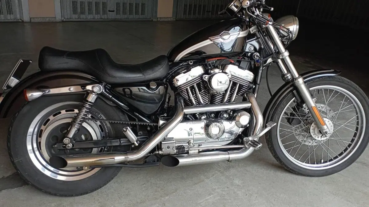 Harley-Davidson 1200 Custom (2001 - 03) - XL 1200C  (3)