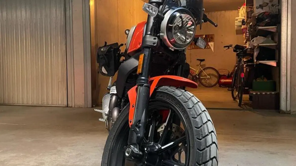 Ducati Scrambler 800 Icon (2021 - 22)  (4)