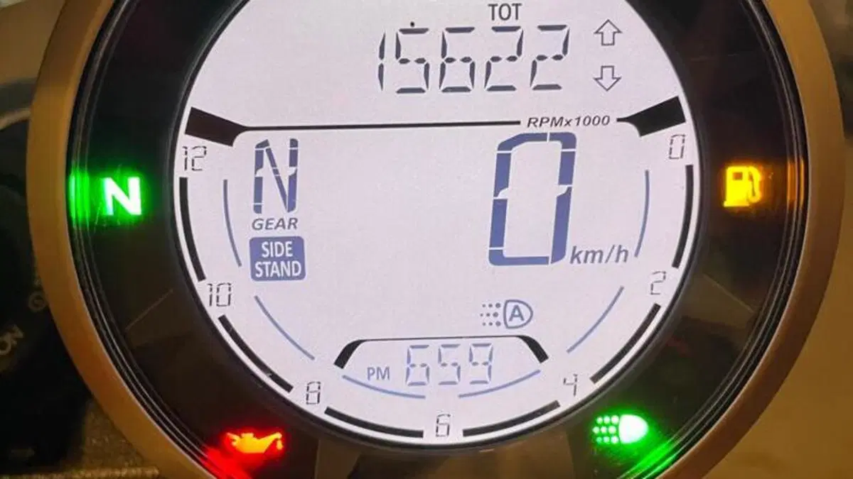 Ducati Scrambler 800 Icon (2021 - 22)  (7)