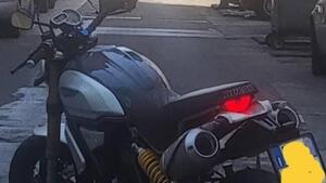 Ducati Scrambler 1100 Special (2018 - 20) 