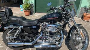 Harley-Davidson 1200 Custom (2004 - 06) - XL 1200C 