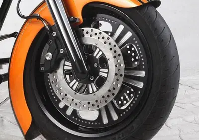 Disco freno posteriore Diametro 11,5" Dominator 6 RevTech - Annuncio 8554919