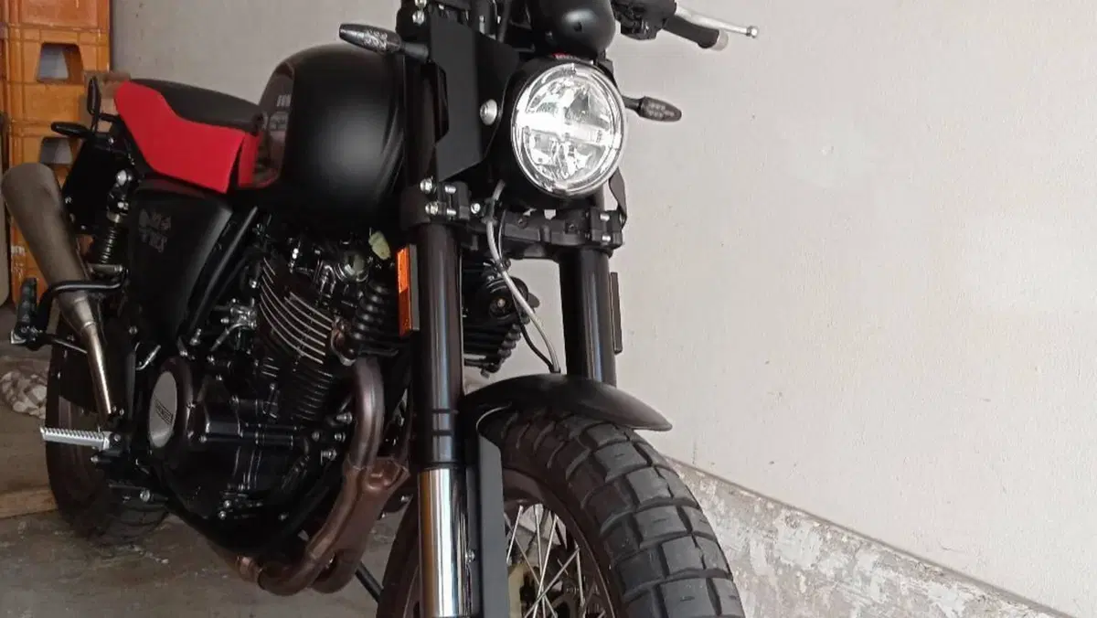 Swm Ace of Spades 500 (2018 - 20)  (8)