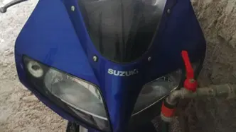 Suzuki SV 1000 S usata