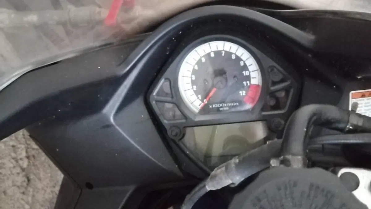 Suzuki SV 1000 S  (2)