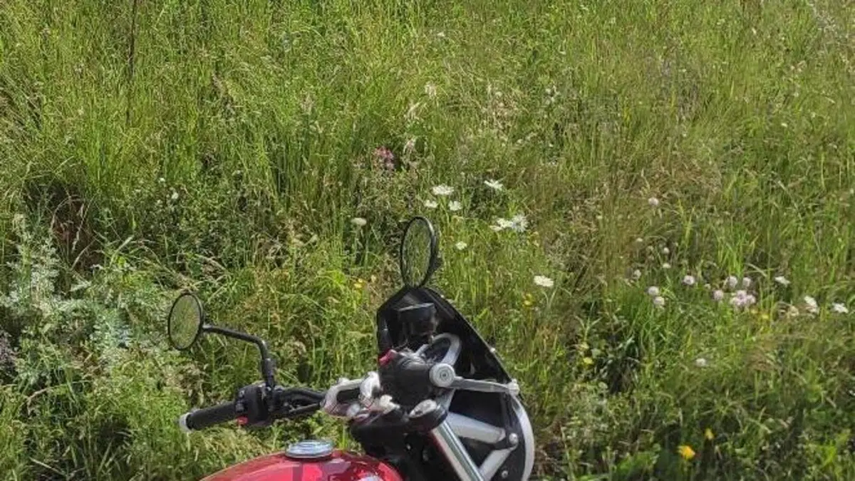 Triumph Street Twin 900 (2017 - 18)  (7)