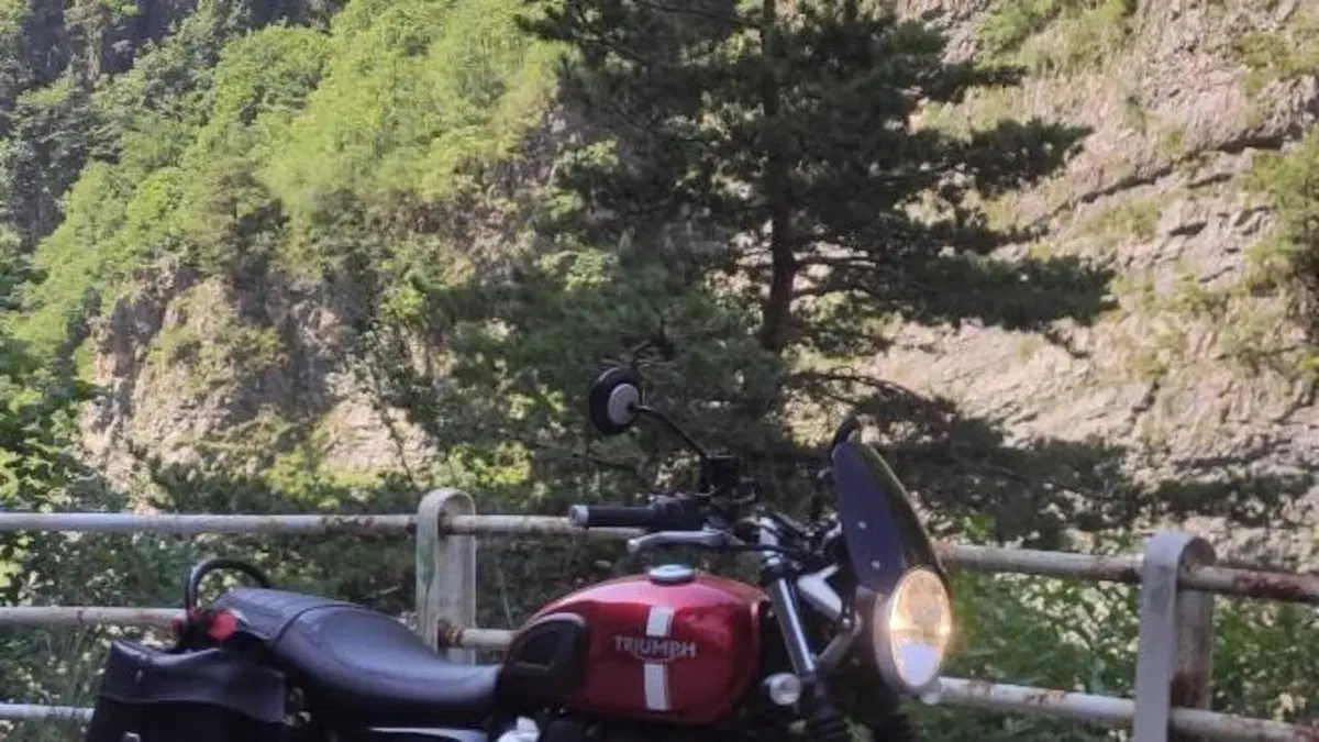 Triumph Street Twin 900 (2017 - 18)  (9)