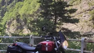 Triumph Street Twin 900 (2017 - 18)  (9)