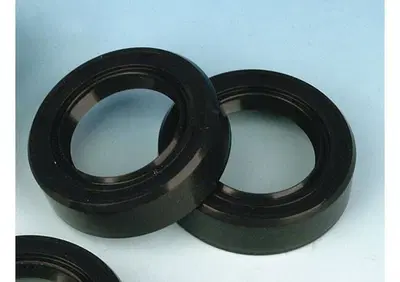 Paraoli ruote anteriori e posteriori Per FL dal 19  - Annuncio 8557811