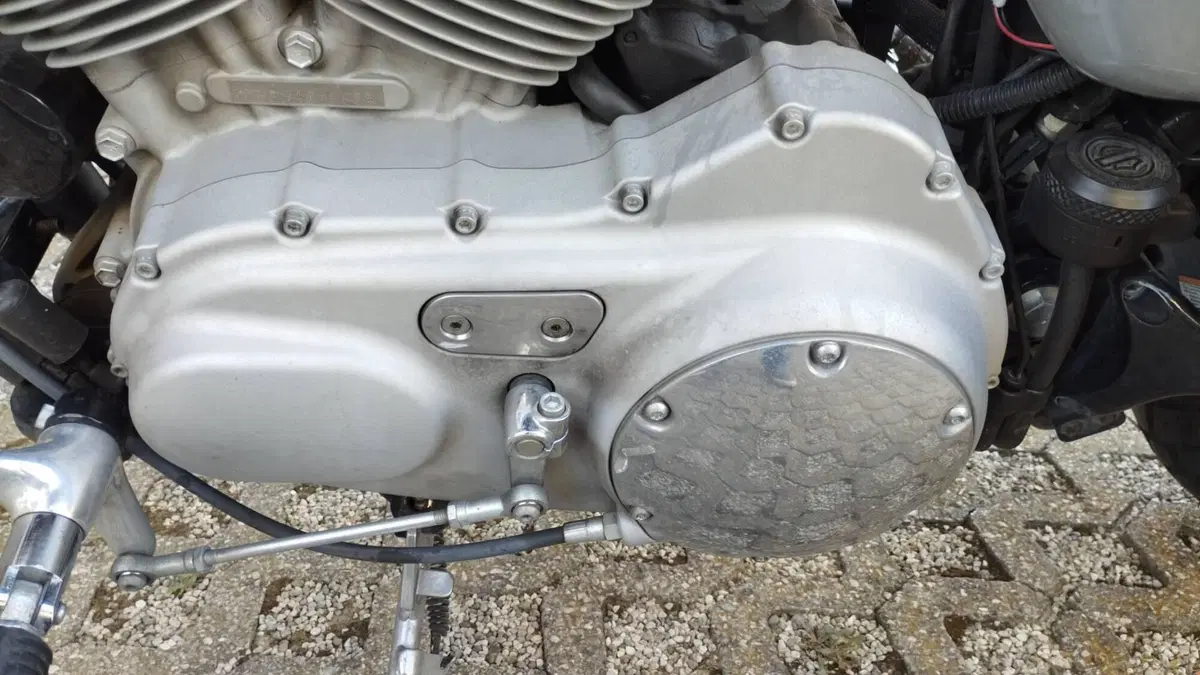 Harley-Davidson 883 Custom (2008 - 12) - XL 883C  (6)
