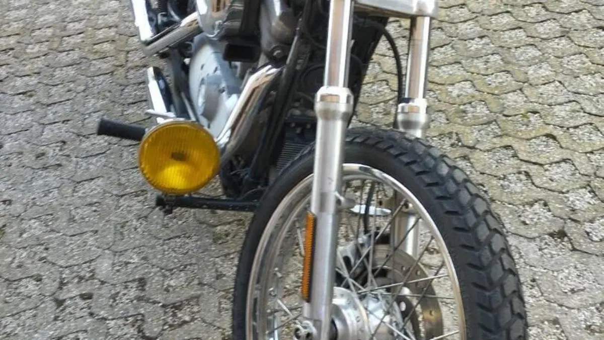 Harley-Davidson 883 Custom (2008 - 12) - XL 883C  (4)