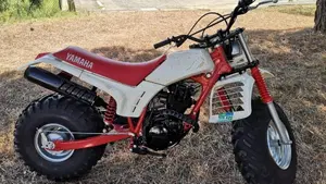 Yamaha   (2)