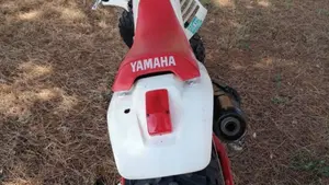 Yamaha   (3)
