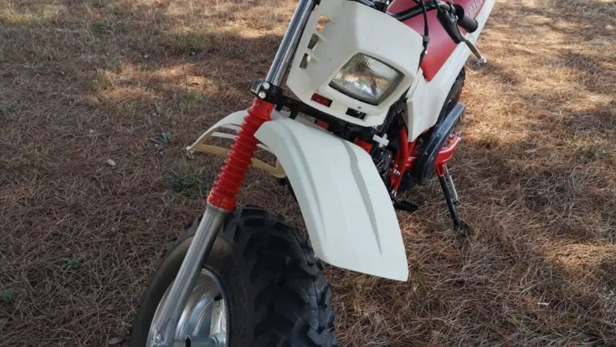Yamaha   (4)