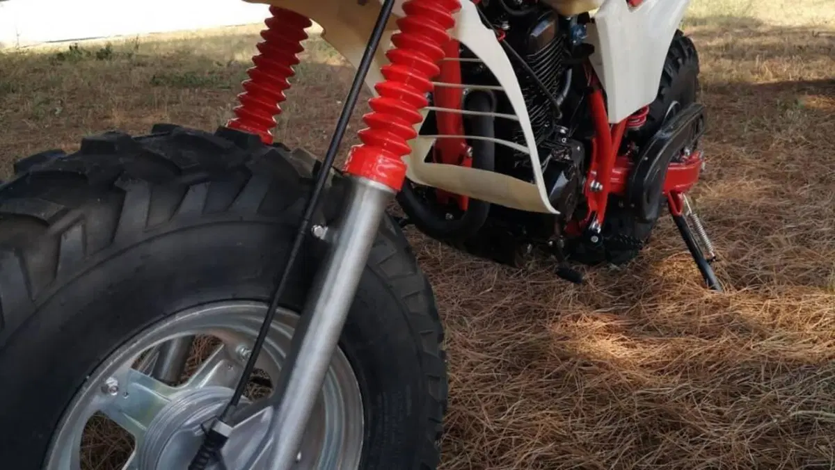 Yamaha   (6)