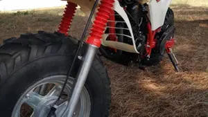 Yamaha   (6)