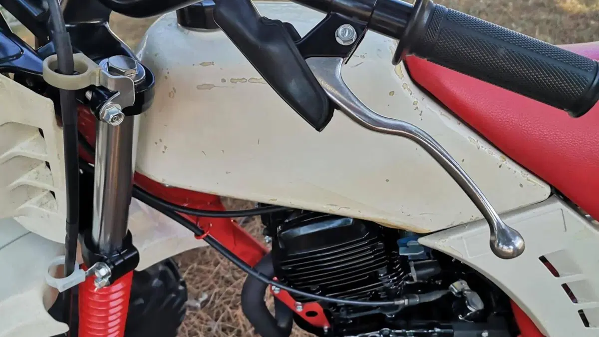Yamaha   (10)