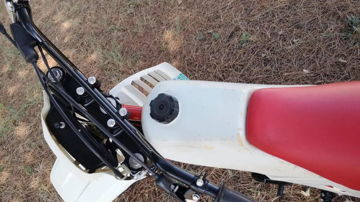 Yamaha   (11)