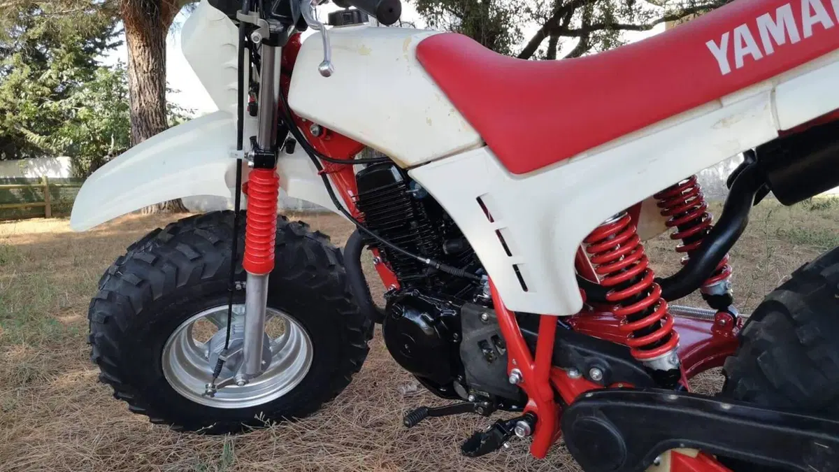 Yamaha   (14)