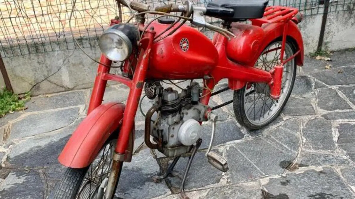 Motom   (3)