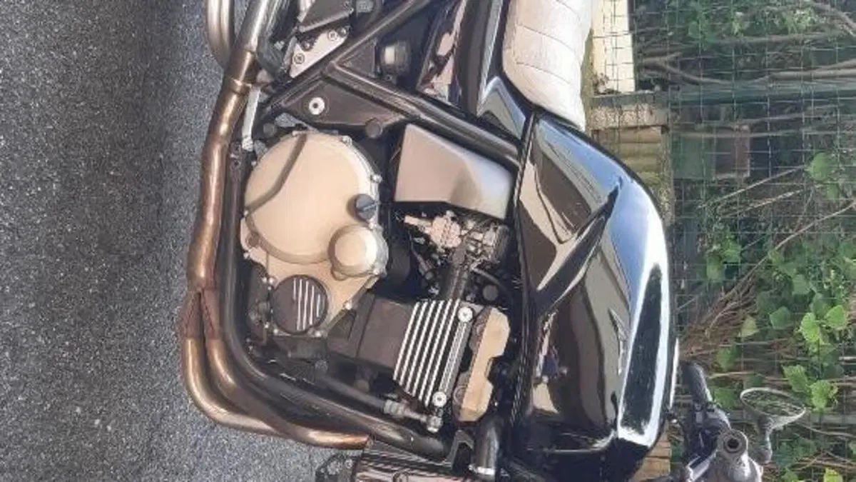 Kawasaki ZRX 1200 (2000 - 05)  (4)