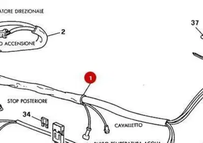 IMPIANTO ELETTRICO Ducati - Annuncio 9263450