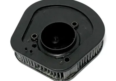 Filtro aria lavabile per Softail 107'' con filtro  - Annuncio 8556181