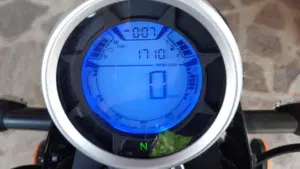 Vervemoto Classic 250i S (2019 - 20)  (5)
