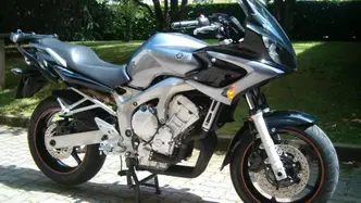 Yamaha FZ6 Fazer (2004 - 07) usata