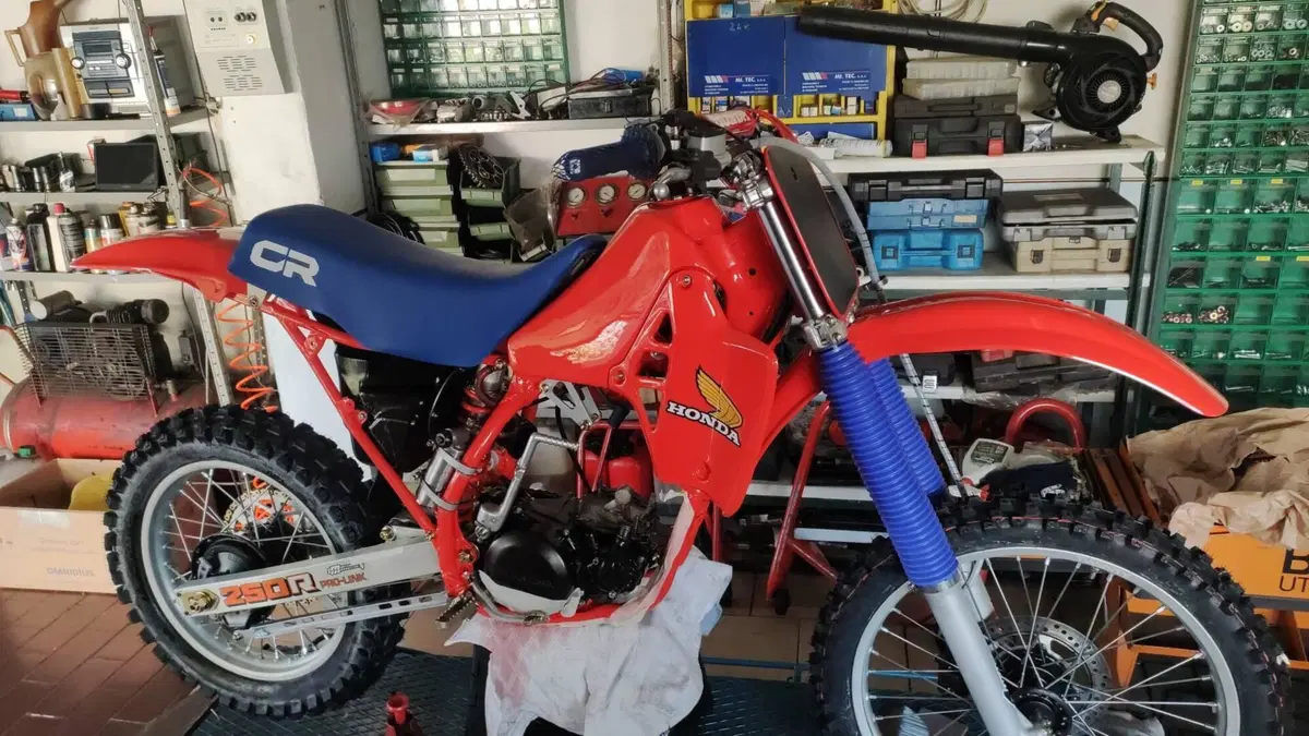 Honda   (10)