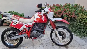 Suzuki DR 650 R (1990 - 91) usata