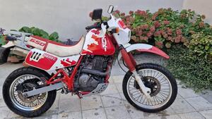 Suzuki DR 650 R (1990 - 91) 