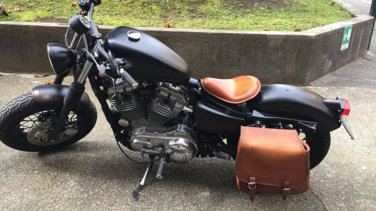Harley-Davidson 883 (2006 - 07) - XL 