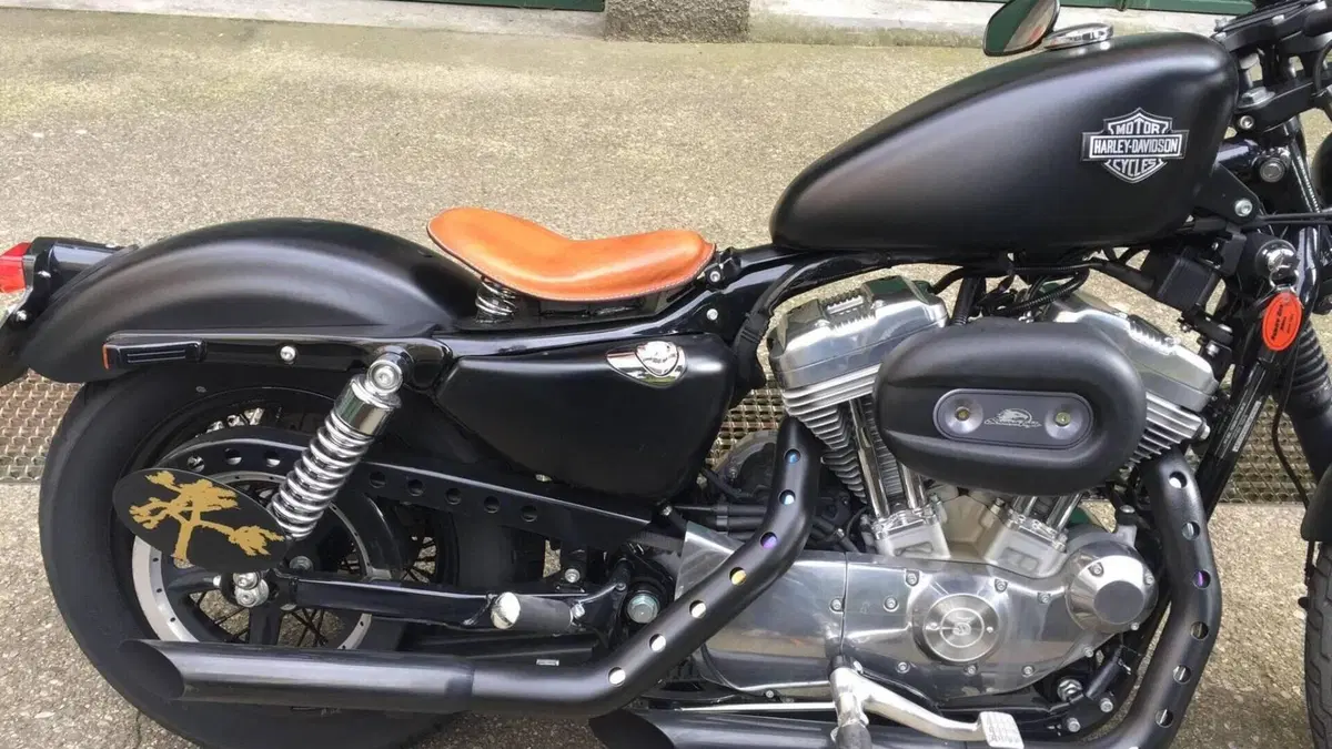 Harley-Davidson 883 (2006 - 07) - XL  (2)