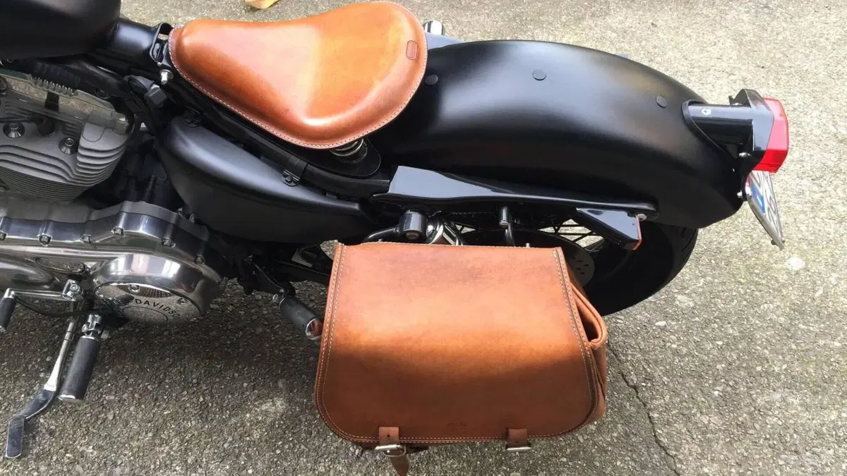 Harley-Davidson 883 (2006 - 07) - XL  (3)