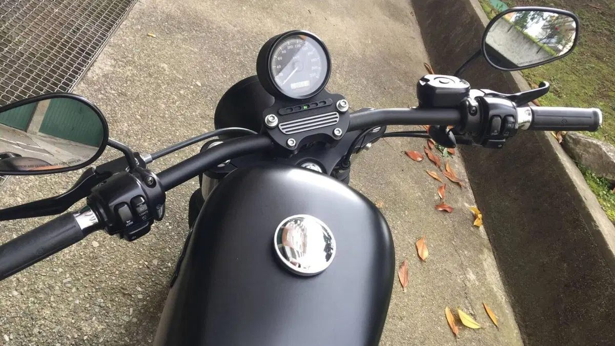 Harley-Davidson 883 (2006 - 07) - XL  (5)