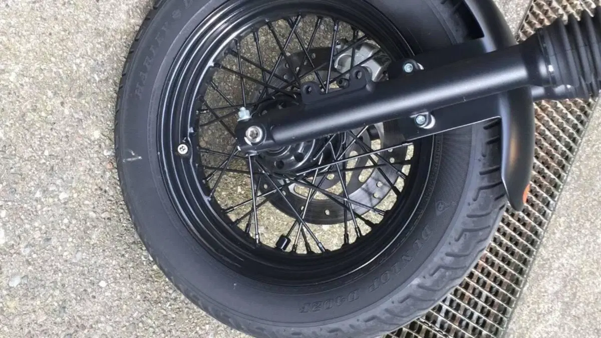 Harley-Davidson 883 (2006 - 07) - XL  (6)