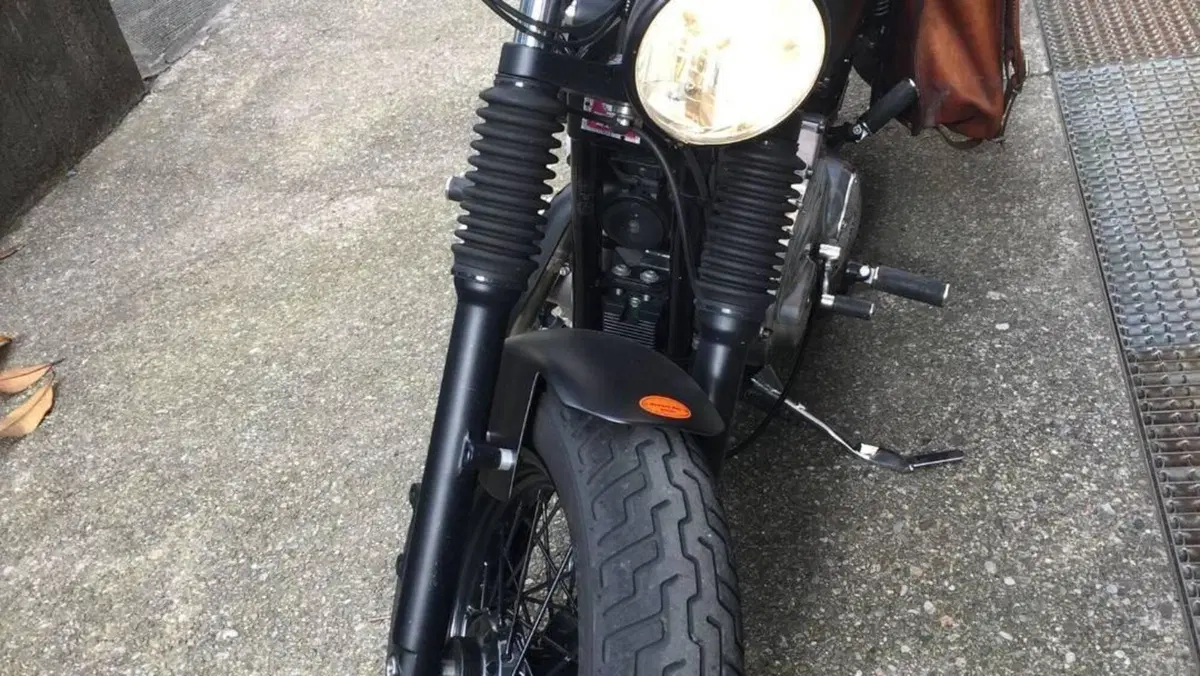 Harley-Davidson 883 (2006 - 07) - XL  (9)