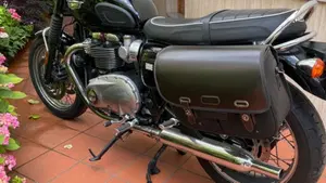Triumph Bonneville T120 (2016 - 20)  (2)