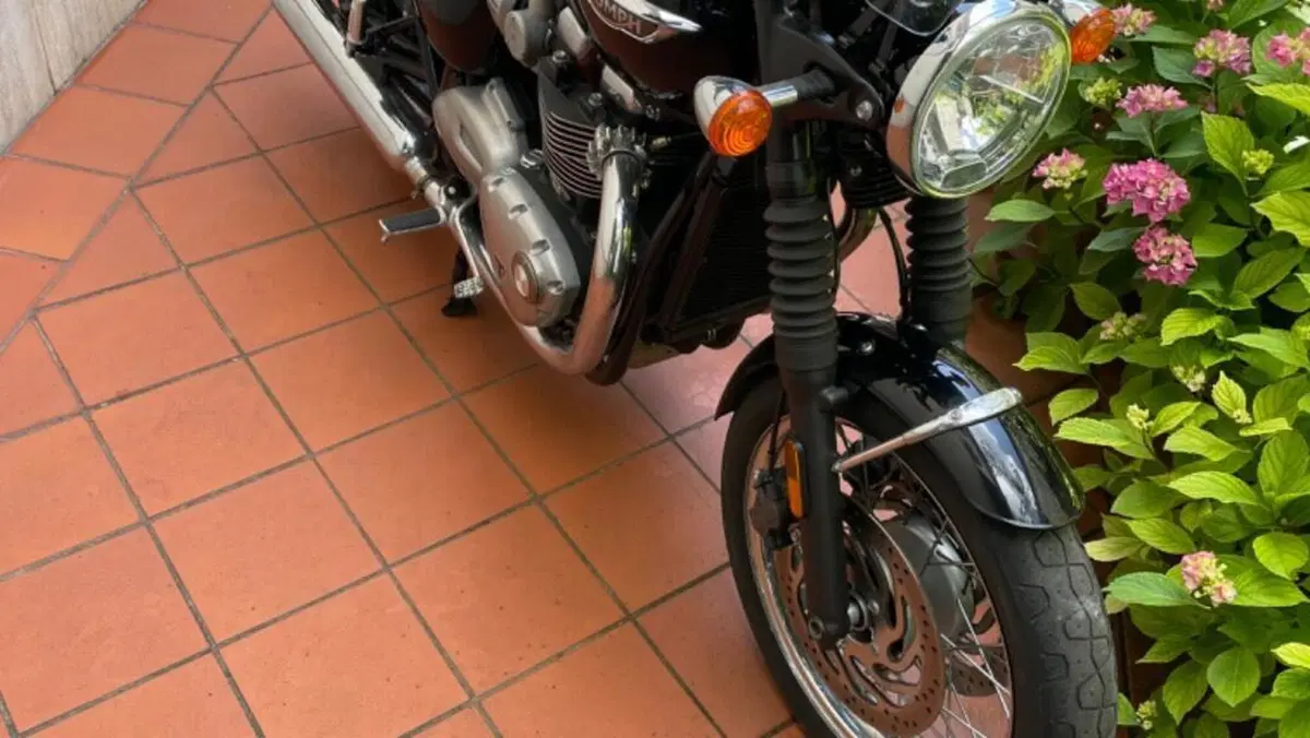 Triumph Bonneville T120 (2016 - 20)  (4)