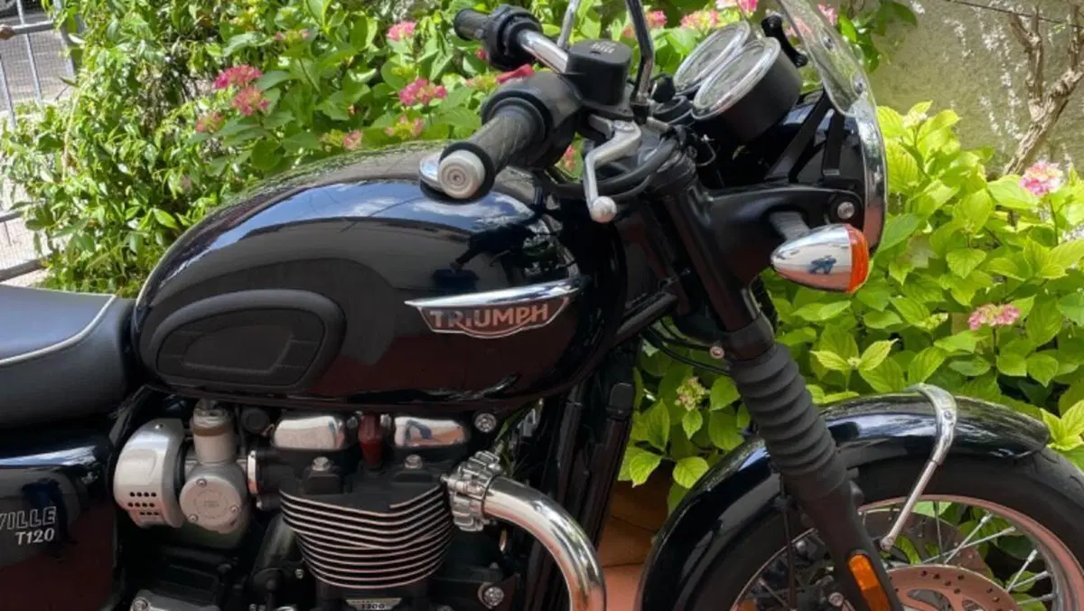 Triumph Bonneville T120 (2016 - 20)  (8)