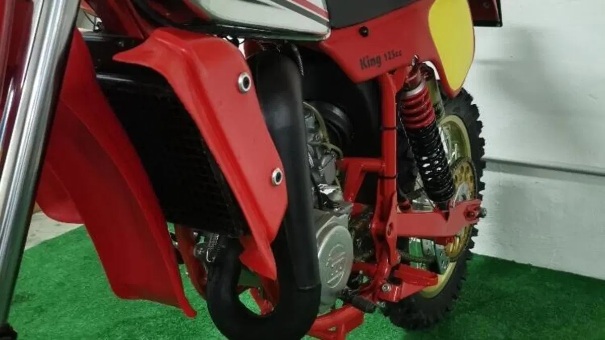 Tm Moto   (3)